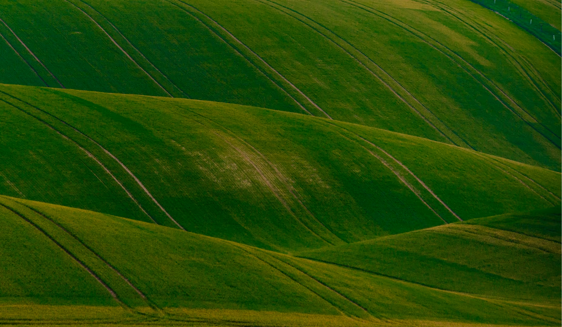 ts-sergey-TPVQSF3IXp8-unsplash 2